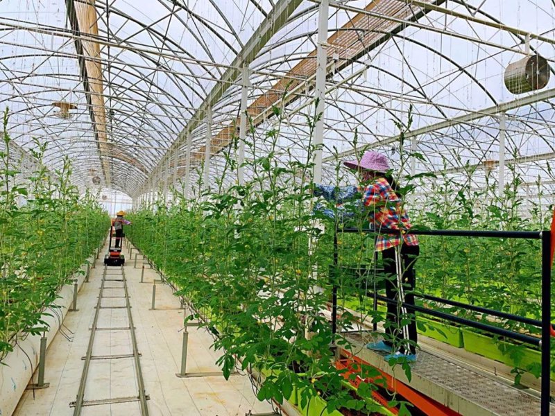 生物科技时代：探寻生物技术研发的奥秘