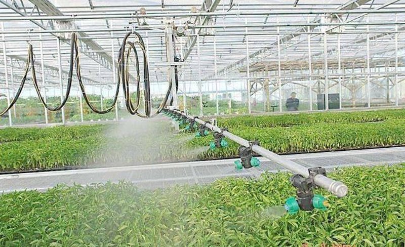 微生物肥料在现代农业中的高效应用